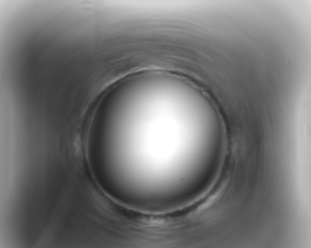 X0000089431505200706221202