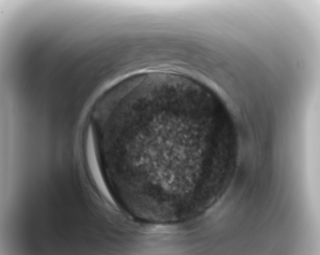 X0000089431506200706221202