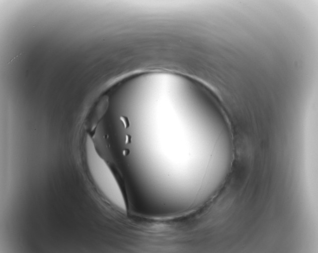 X0000089431507200706221202
