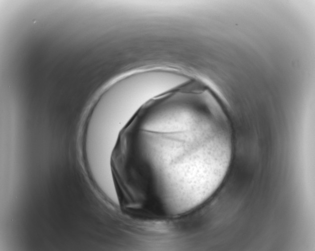 X0000089431508200706221202
