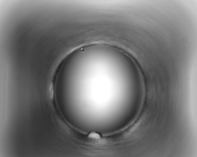 X0000089431509200706221202