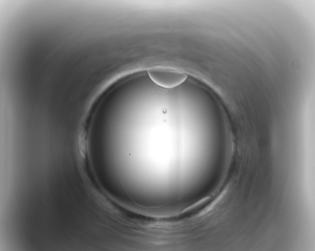 X0000089431510200706221202