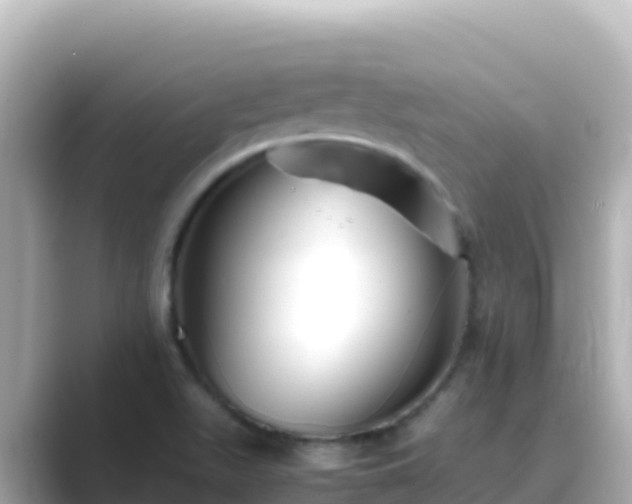 X0000089431511200706221202