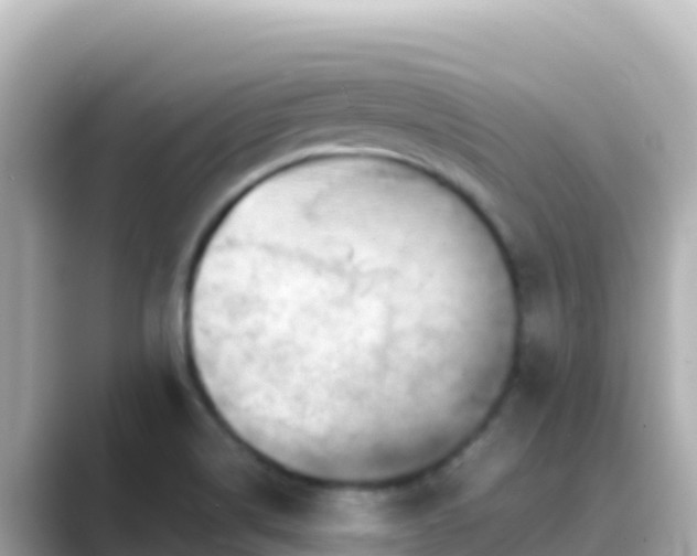 X0000089431514200706221202