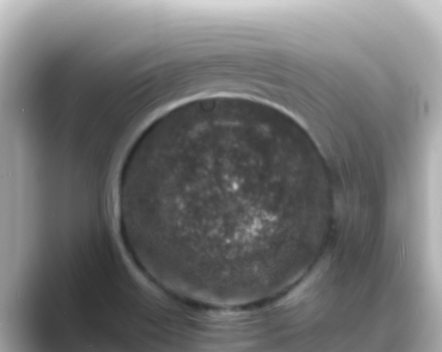 X0000089431515200706221202