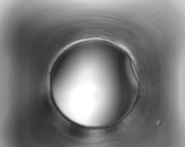 X0000089431516200706221202
