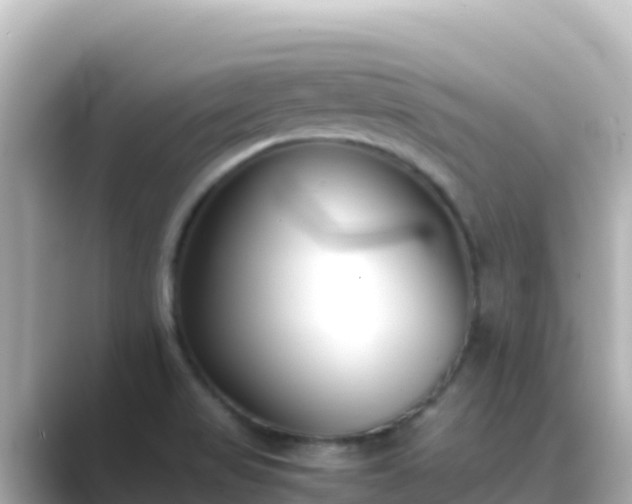 X0000089431517200706221202