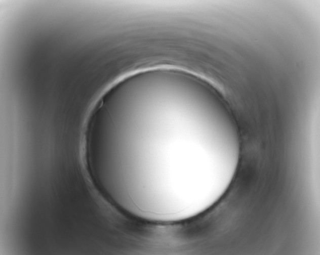 X0000089431518200706221202