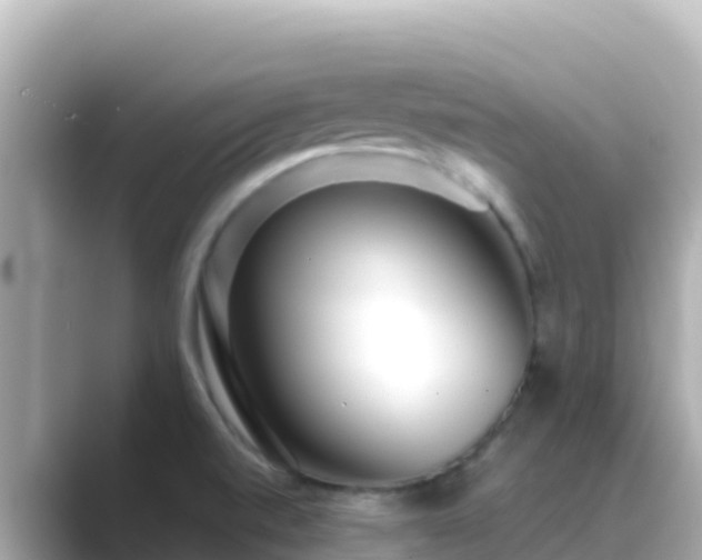 X0000089431520200706221202