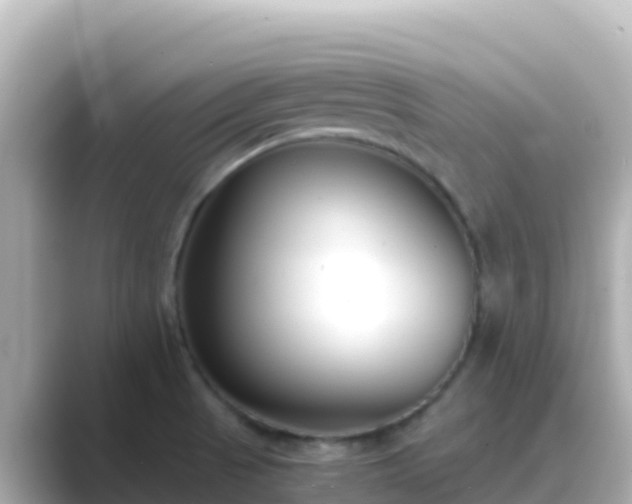 X0000089431521200706221202