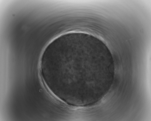 X0000089431522200706221202