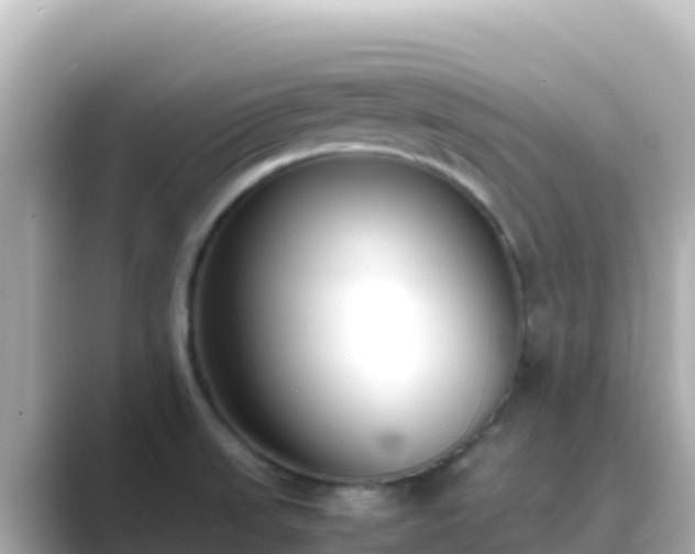 X0000089431523200706221202