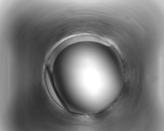 X0000089431524200706221202