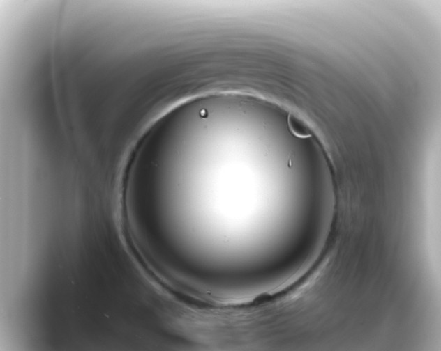 X0000089431525200706221202