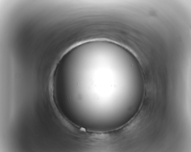 X0000089431526200706221202