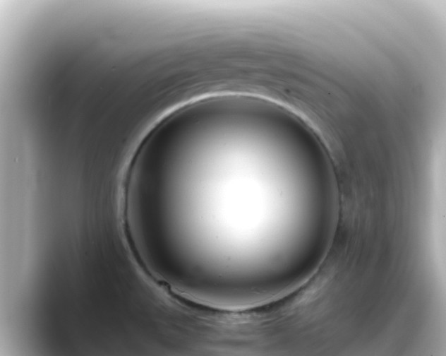 X0000089431527200706221202