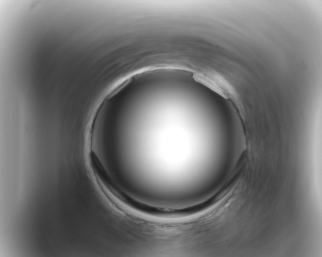 X0000089431528200706221202