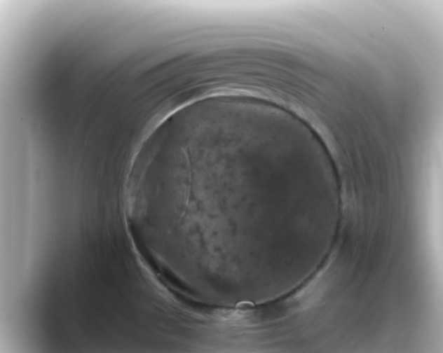 X0000089431529200706221202
