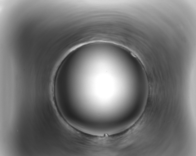 X0000089431531200706221202