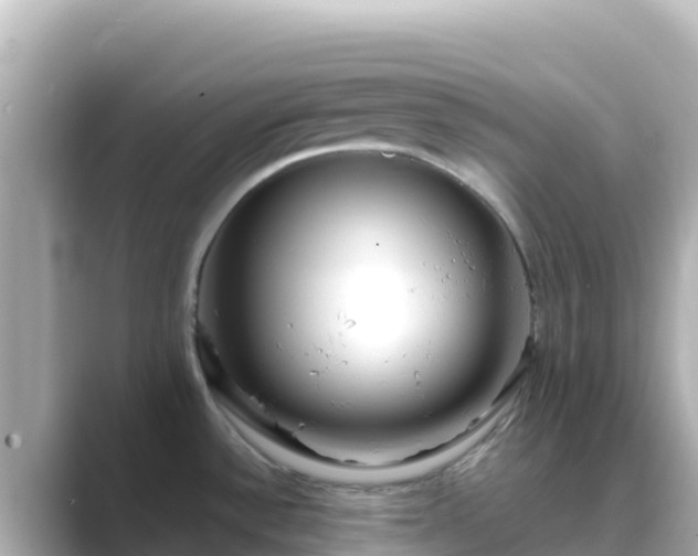 X0000089431532200706221202