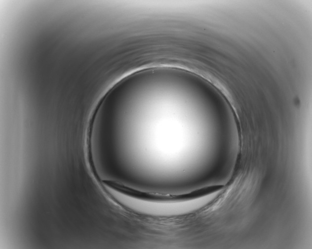 X0000089431533200706221202