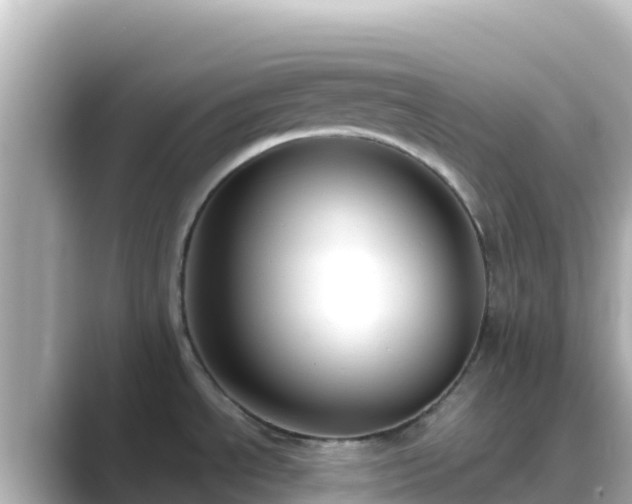 X0000089431534200706221202