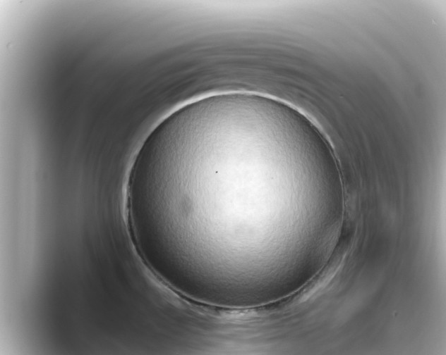 X0000089431535200706221202