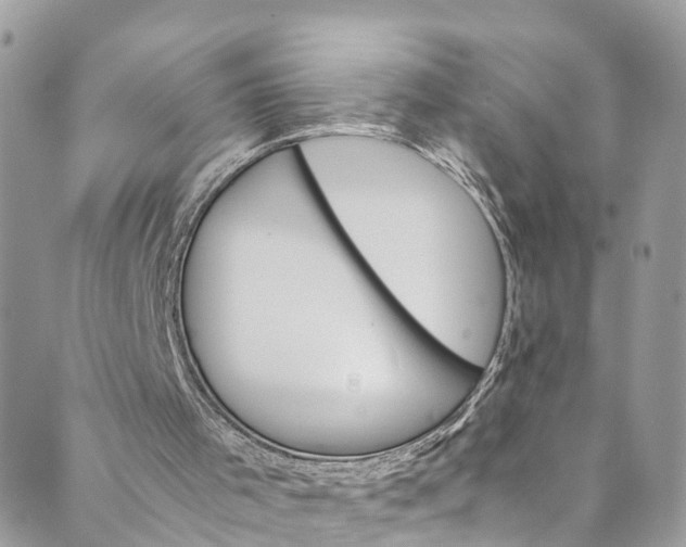 X0000089430001200706291326