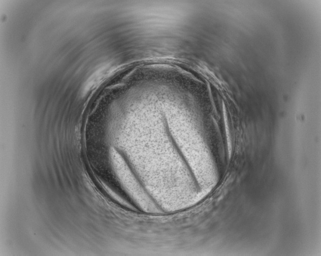 X0000089430002200706291326