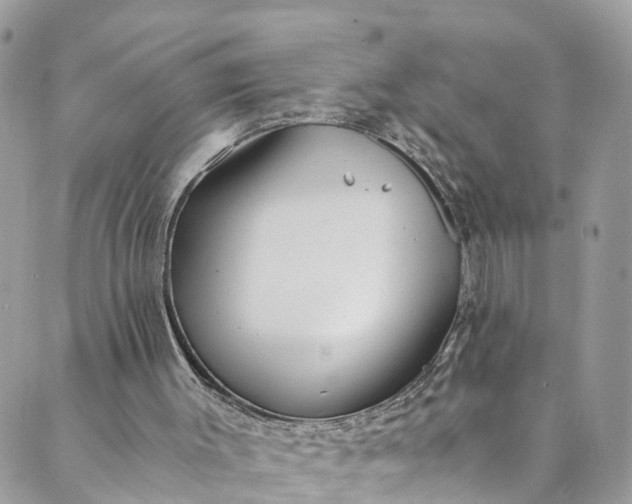 X0000089430003200706291326