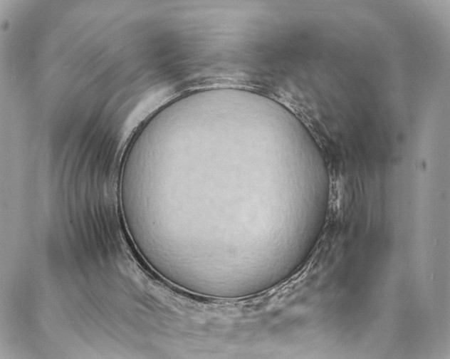 X0000089430004200706291326