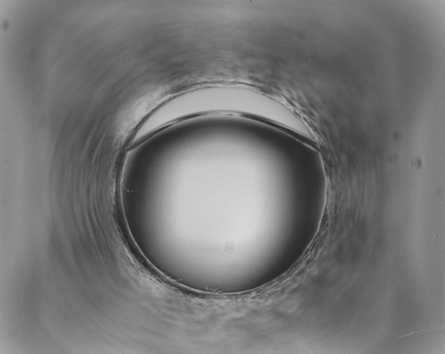 X0000089430005200706291326