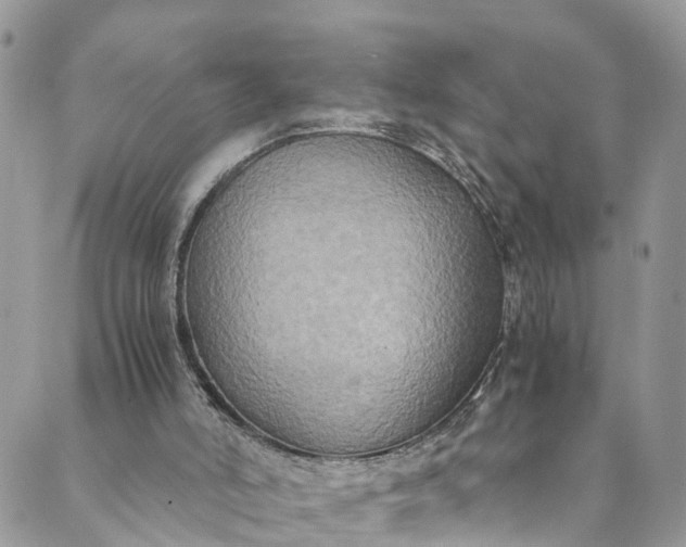 X0000089430006200706291326