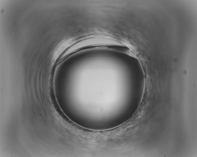 X0000089430007200706291326