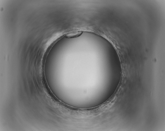 X0000089430008200706291326