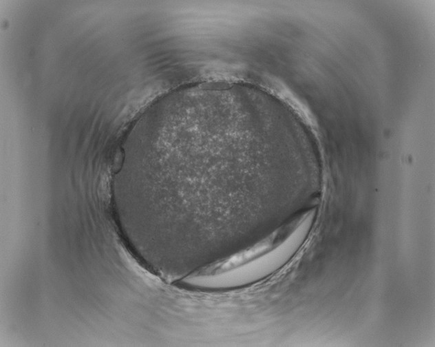 X0000089430009200706291326