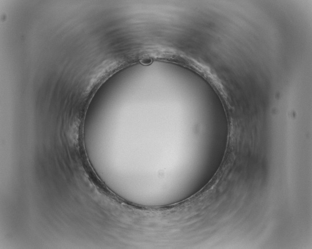 X0000089430010200706291325