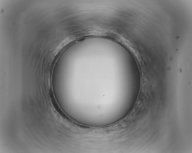 X0000089430011200706291325