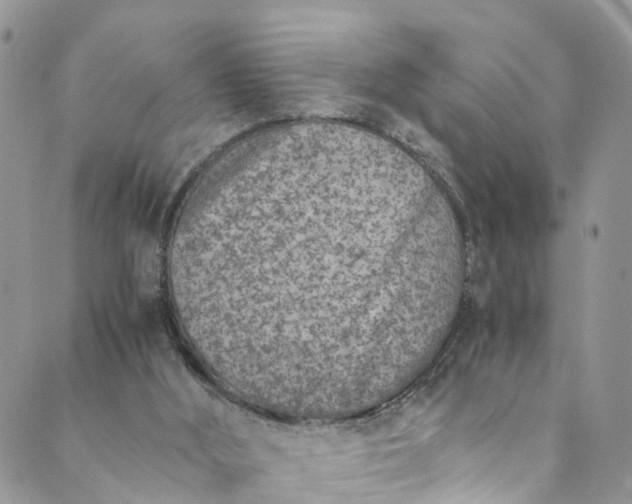 X0000089430012200706291325