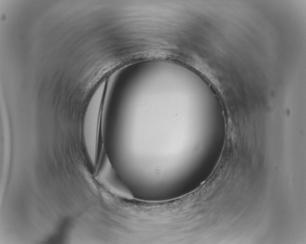 X0000089430013200706291325