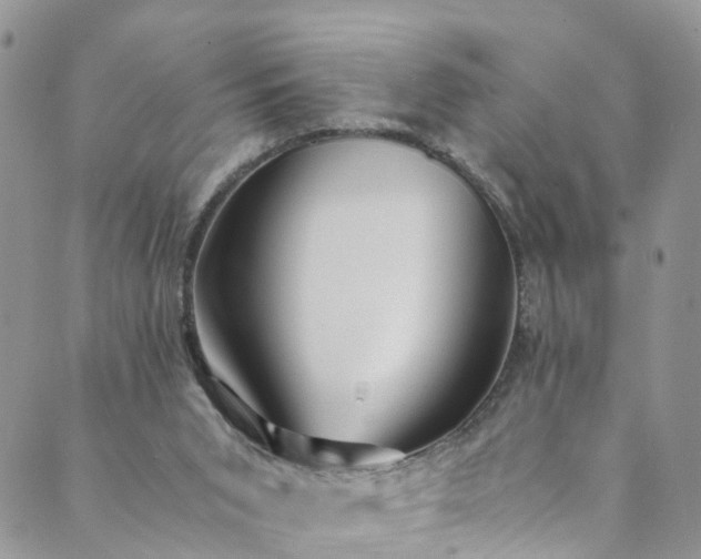 X0000089430015200706291325