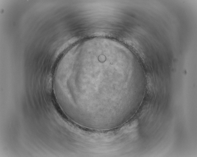 X0000089430016200706291325