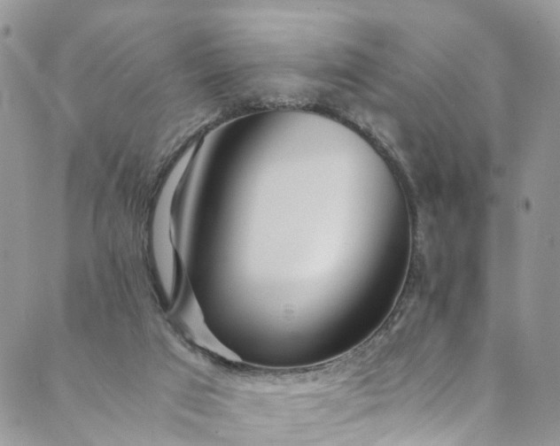 X0000089430017200706291325