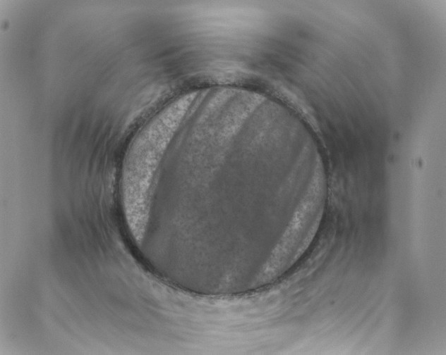 X0000089430018200706291325