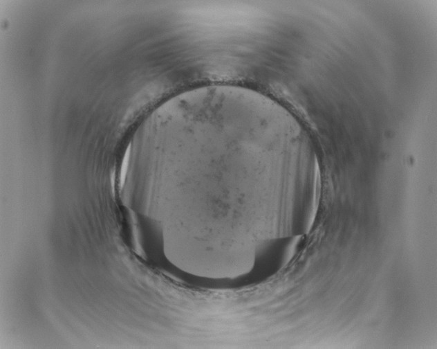 X0000089430019200706291325