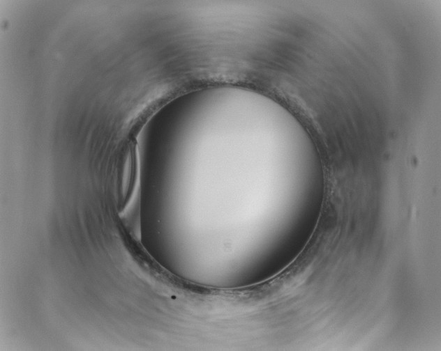 X0000089430020200706291325