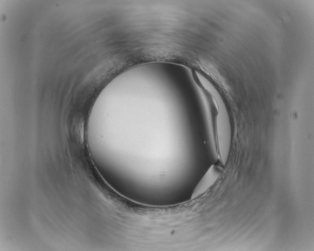 X0000089430021200706291325