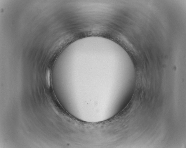 X0000089430022200706291325