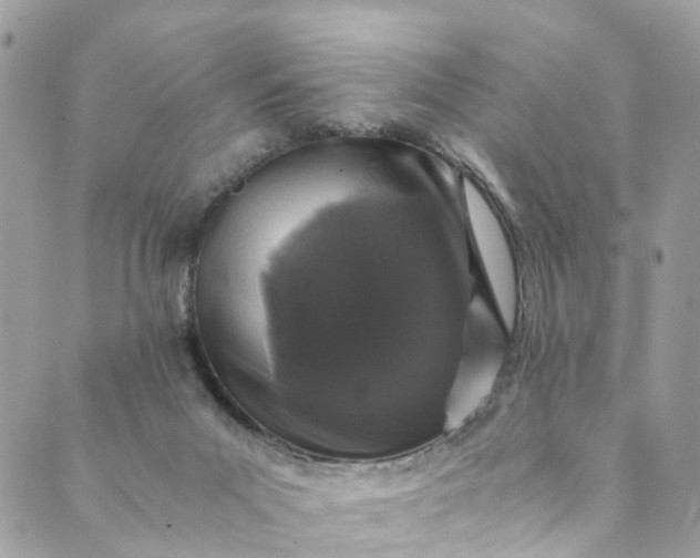 X0000089430023200706291325