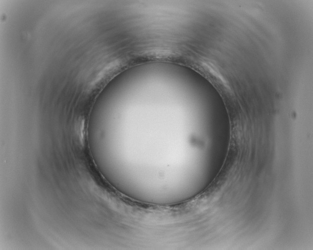 X0000089430024200706291325